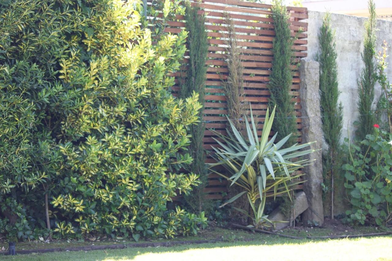 Casa Dos Meus Avos -Villas - Gaia & Porto Vila Nova de Gaia Exteriör bild